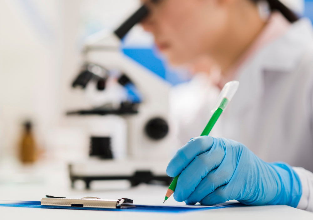 Bacter Documentación Bacter