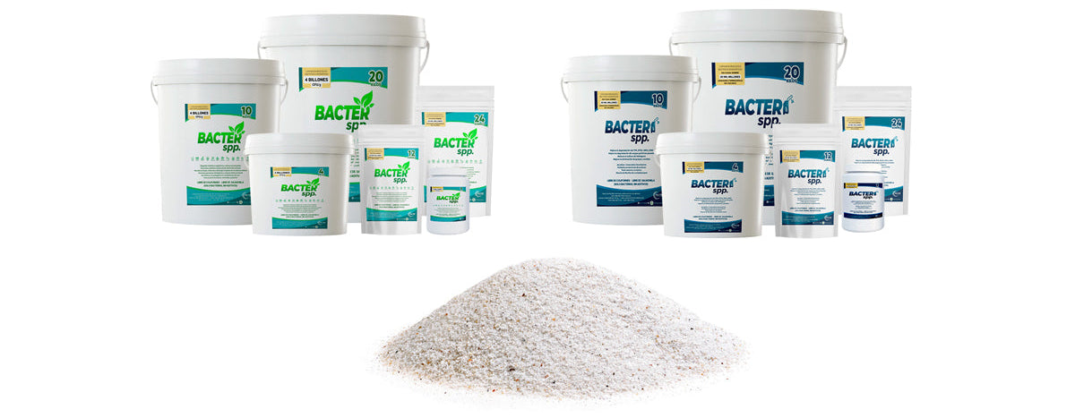 Bacter Bacter spp. Soluciones Bioenzimáticas